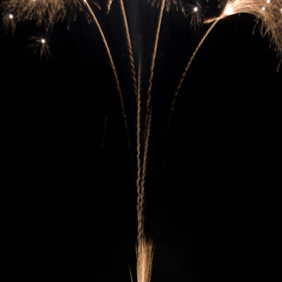 Silver grass